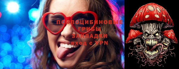 ГАЛЛЮЦИНОГЕННЫЕ ГРИБЫ Белокуриха
