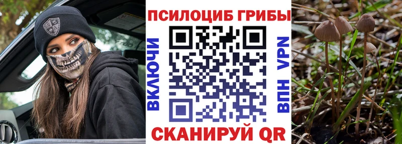 где найти наркотики  Ельня  Псилоцибиновые грибы MAGIC MUSHROOMS 